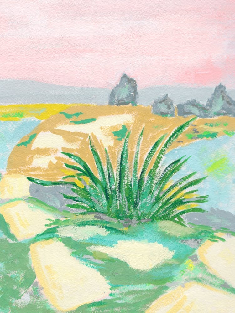 New Mexico Yucca-Landschaft