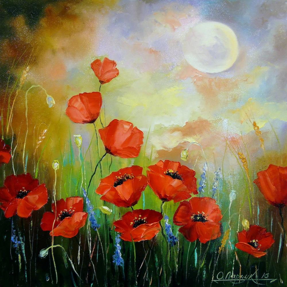 Mohnblumen im Mondlicht
