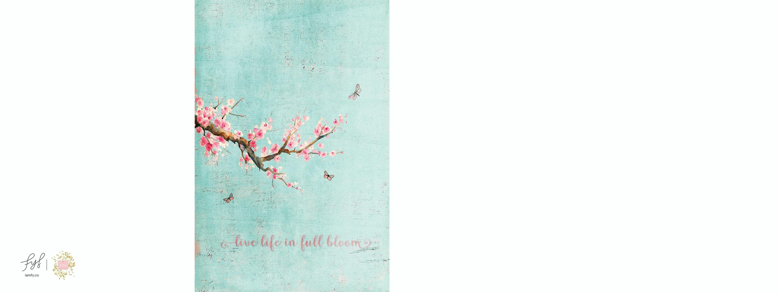 Sakura Live Life In Full Bloom 