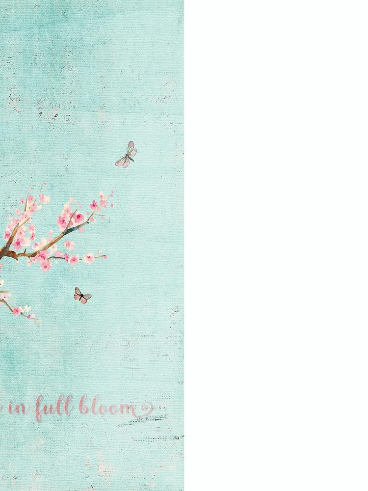 Sakura Live Life In Full Bloom 