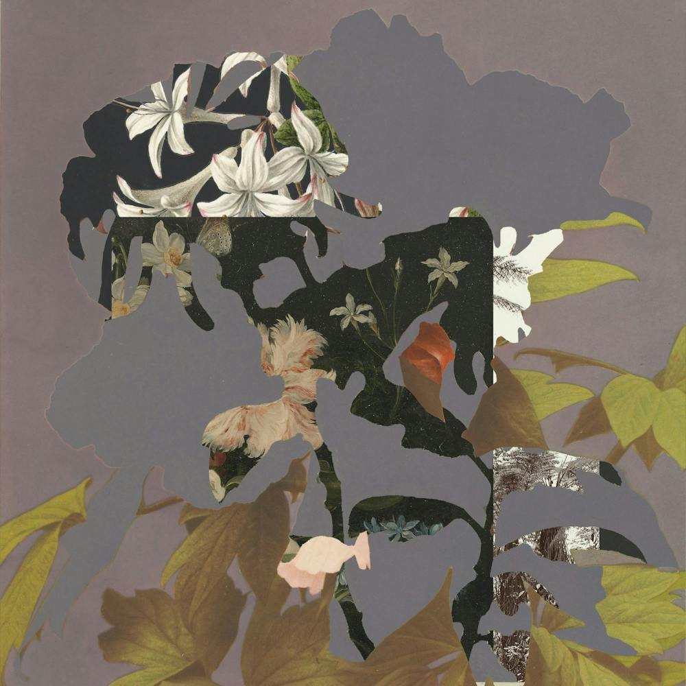 The First Plant · Botanical C