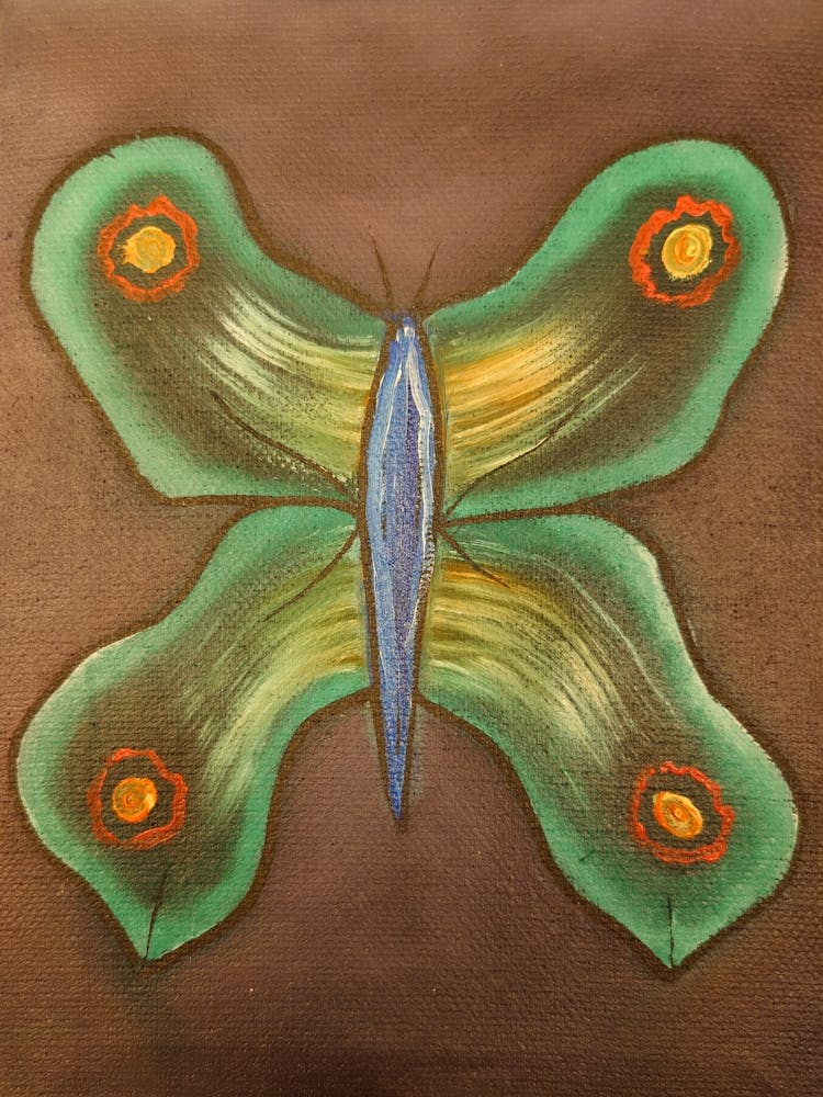 Butterflies 1000002315