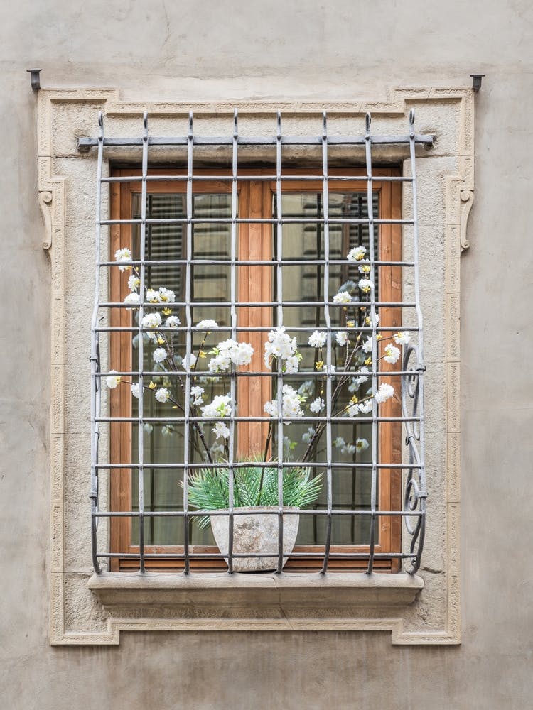Window With Bars