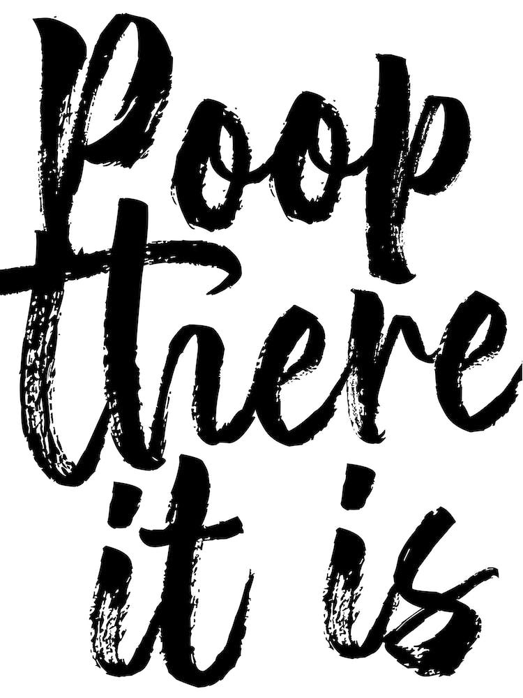 Poop There It Is Bold Script