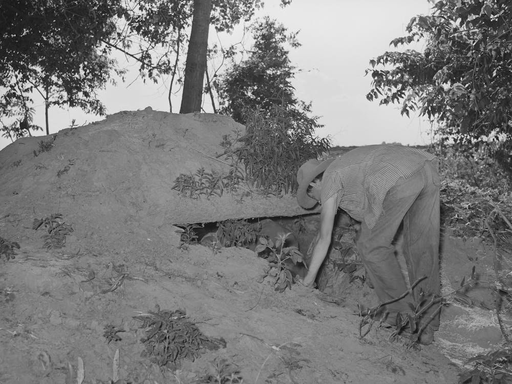 Migrant Boys Entering Storm Cellar Near Their Shack Home Out Of Muskogee, Muskogee County By Russell Lee
