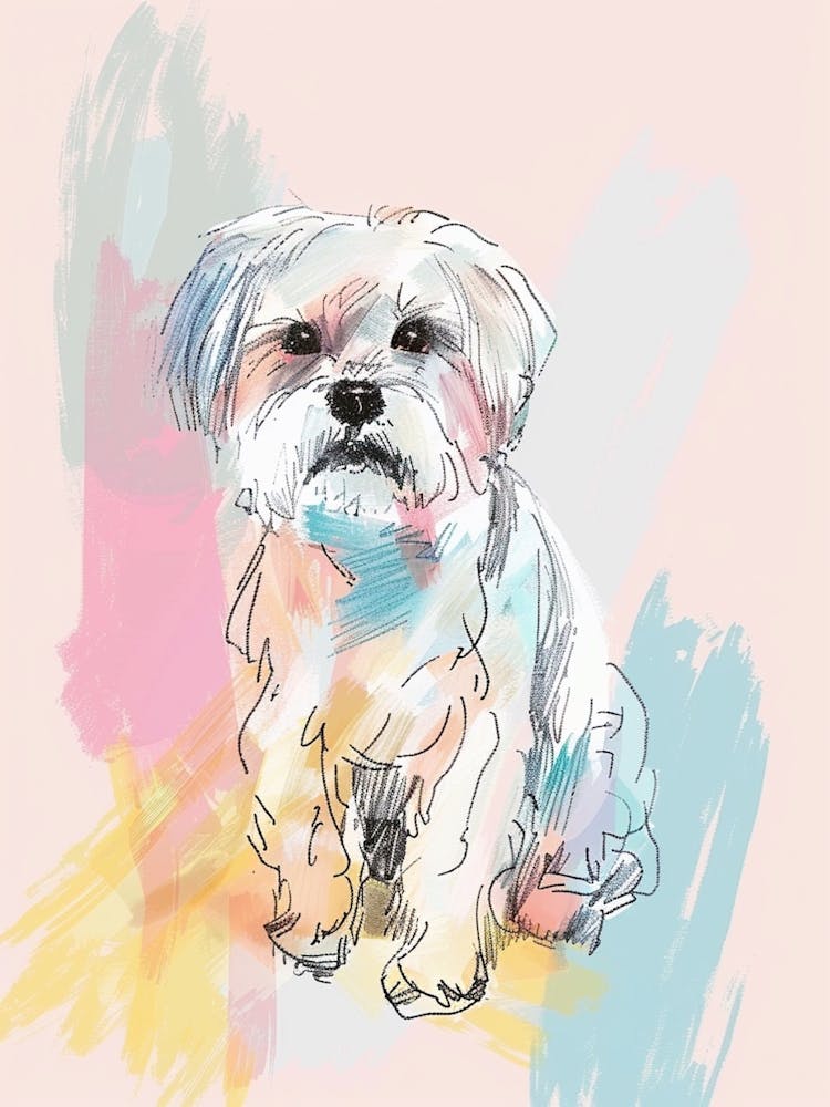 Lhasa Dog Pastel Line Watercolour Illustration  2
