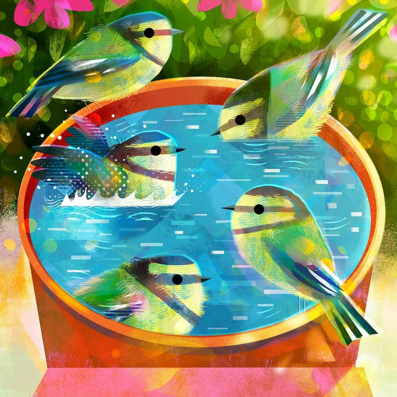 Baby Blue Tits Bathing Square