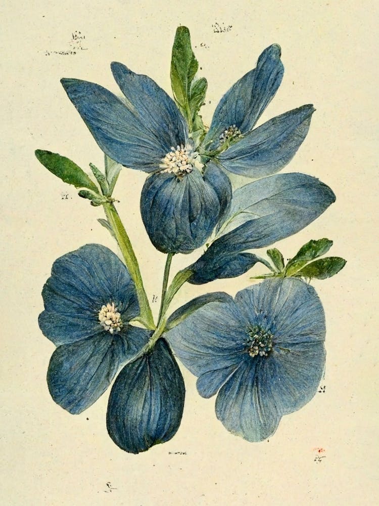 Blue Flowers Farmhouse Botanical Vintage