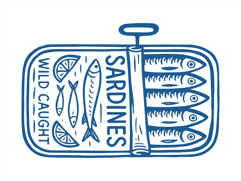 Sardines 13