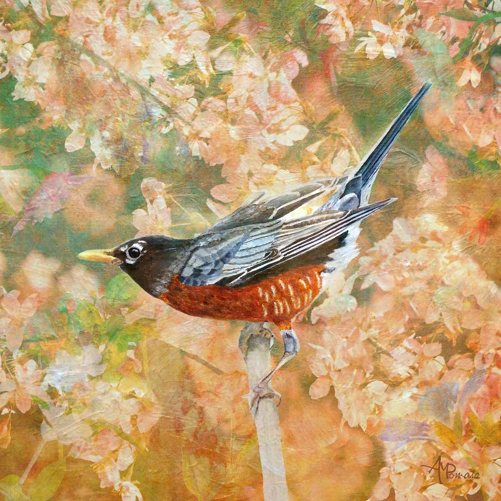 Surrounded In Bloom Square