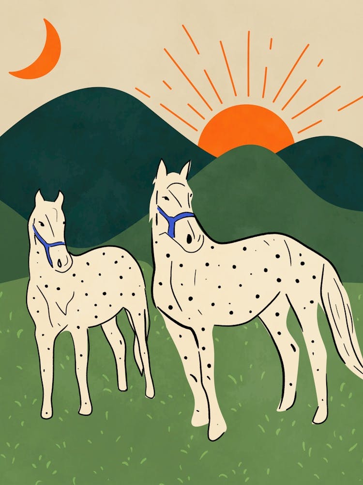 Horses of the Highland