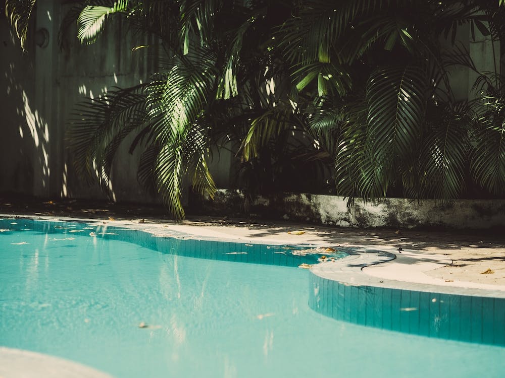 Pool Party