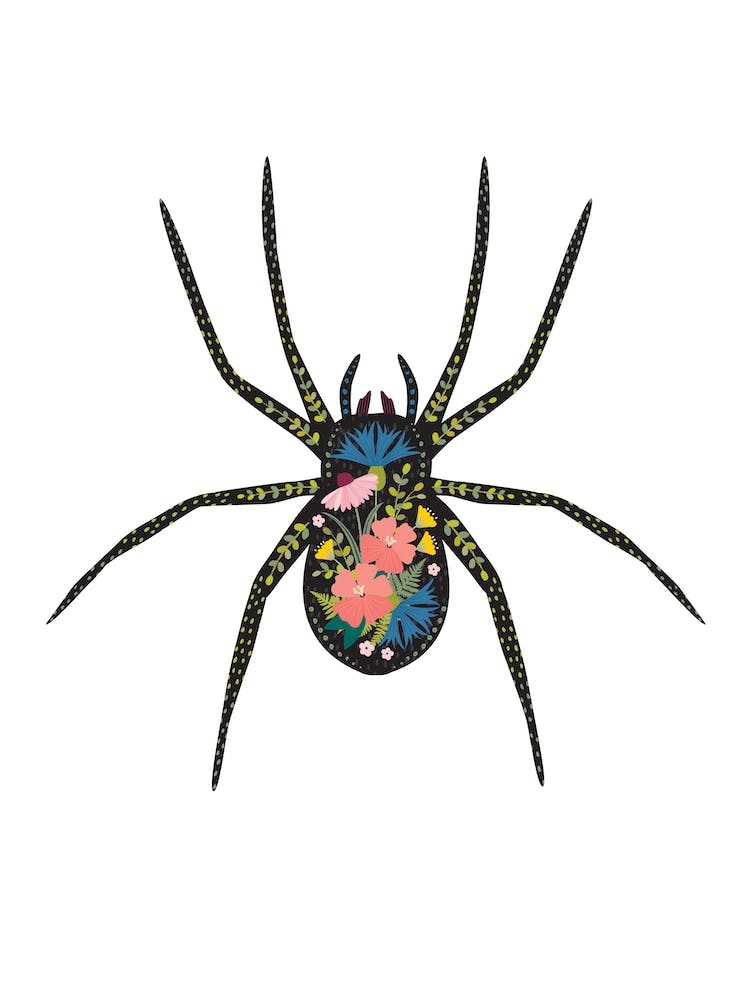 Floral Spider 2