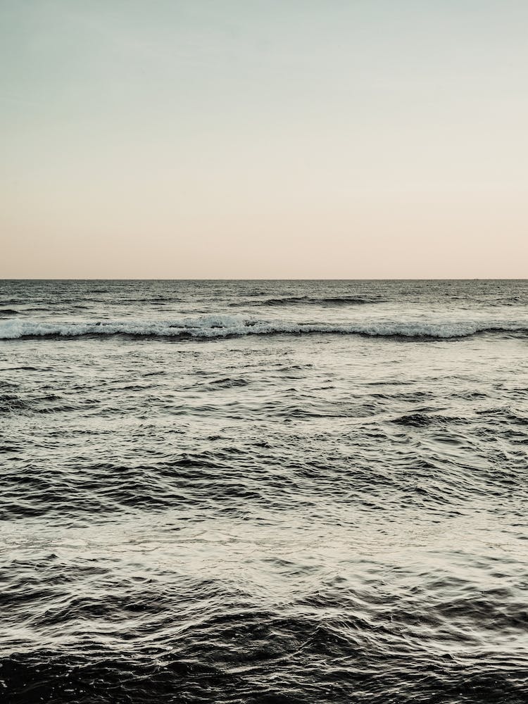 Ocean Dream