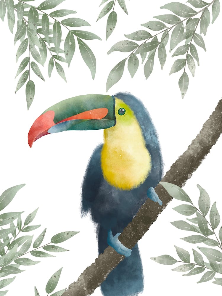 Toucan à l'Aquarelle - Impression pour Chambre d'Enfant Neutre