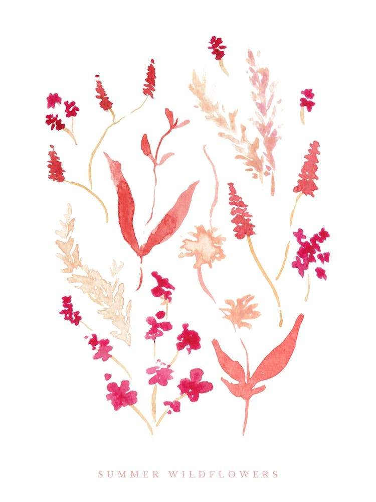 Summer Wildflowers , watercolour , Hand-painted