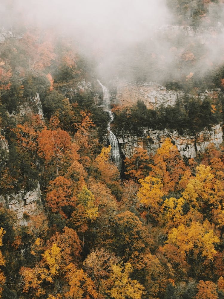 Waterfall Into Fall Forest