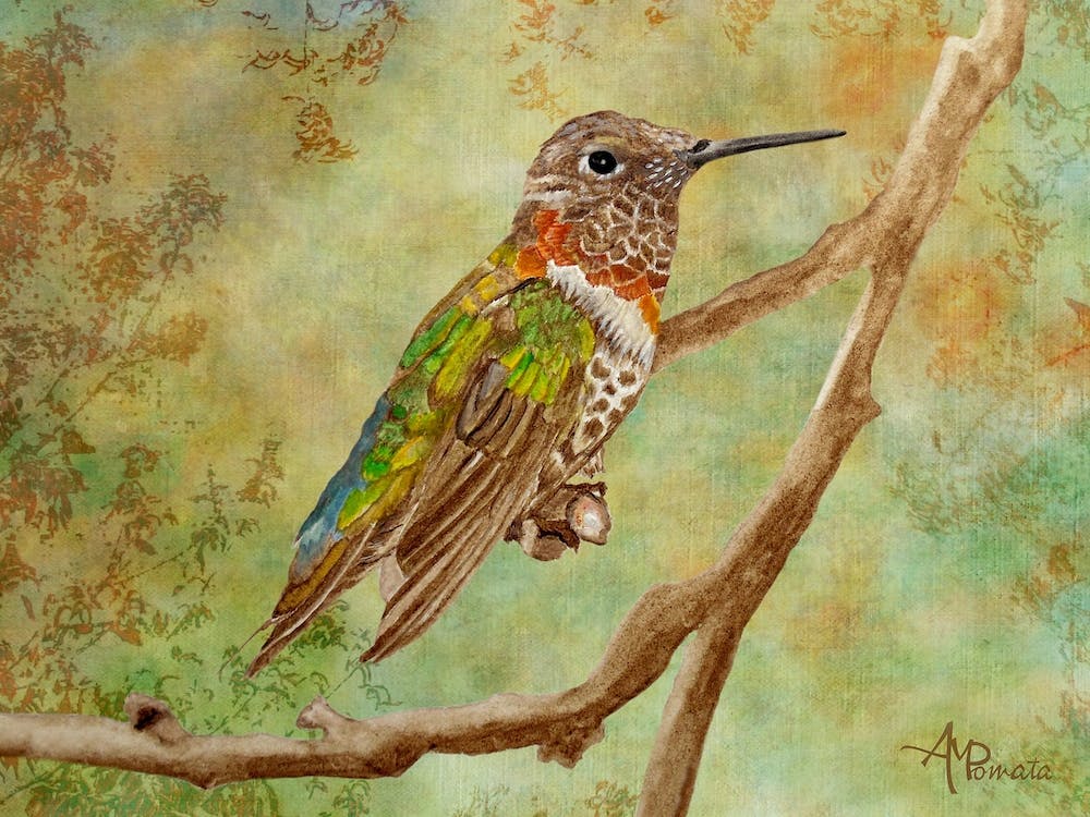 First Lights Of Autumn