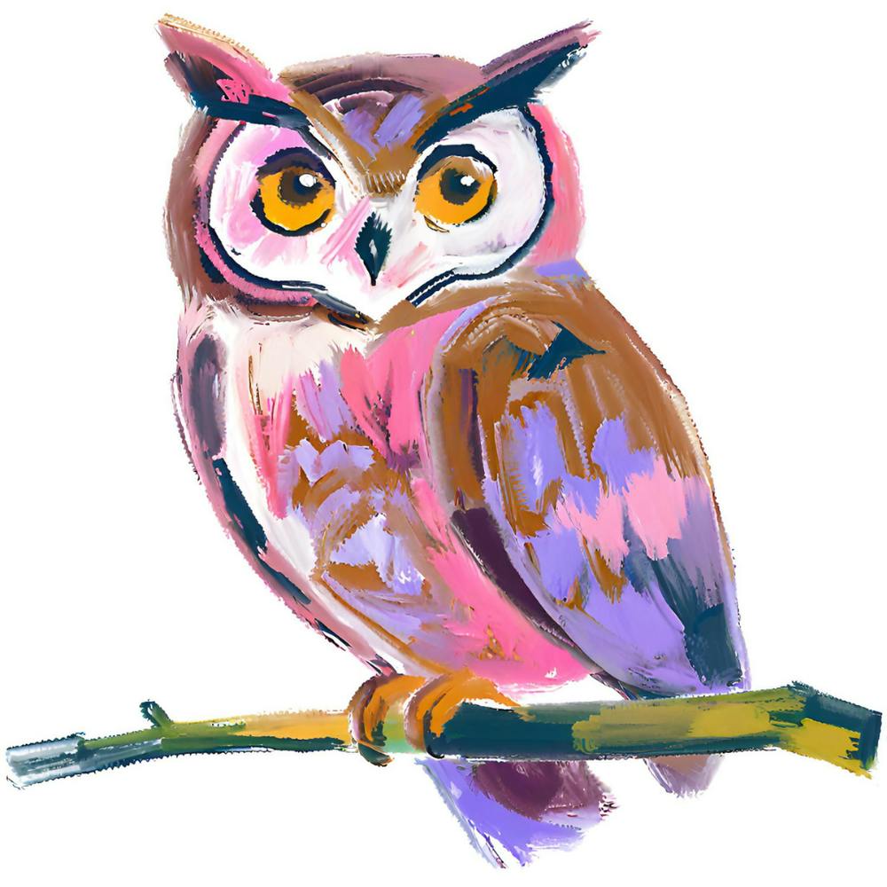 Owl 01