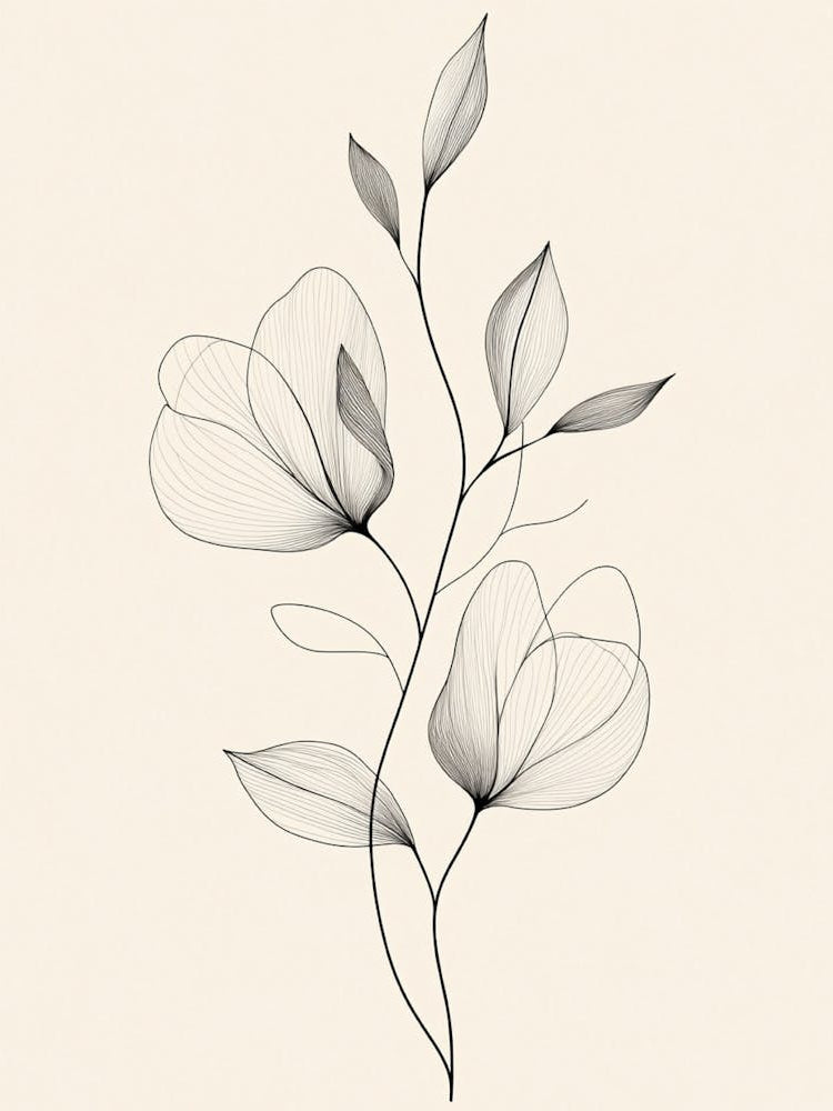 Black And White Flower Drawing