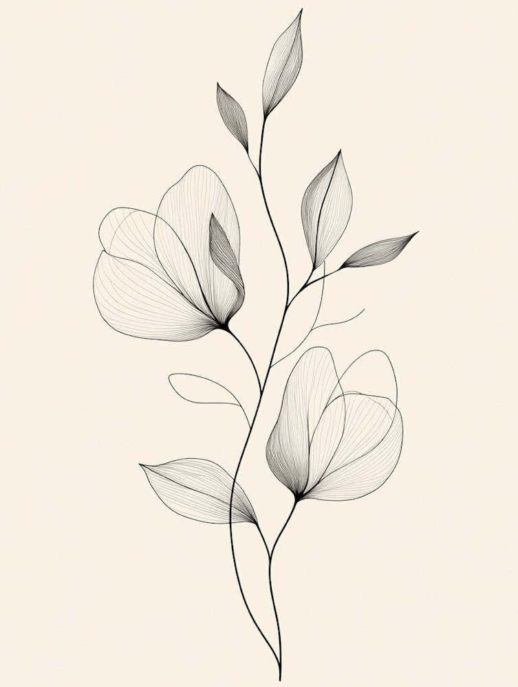 Black And White Flower Drawing