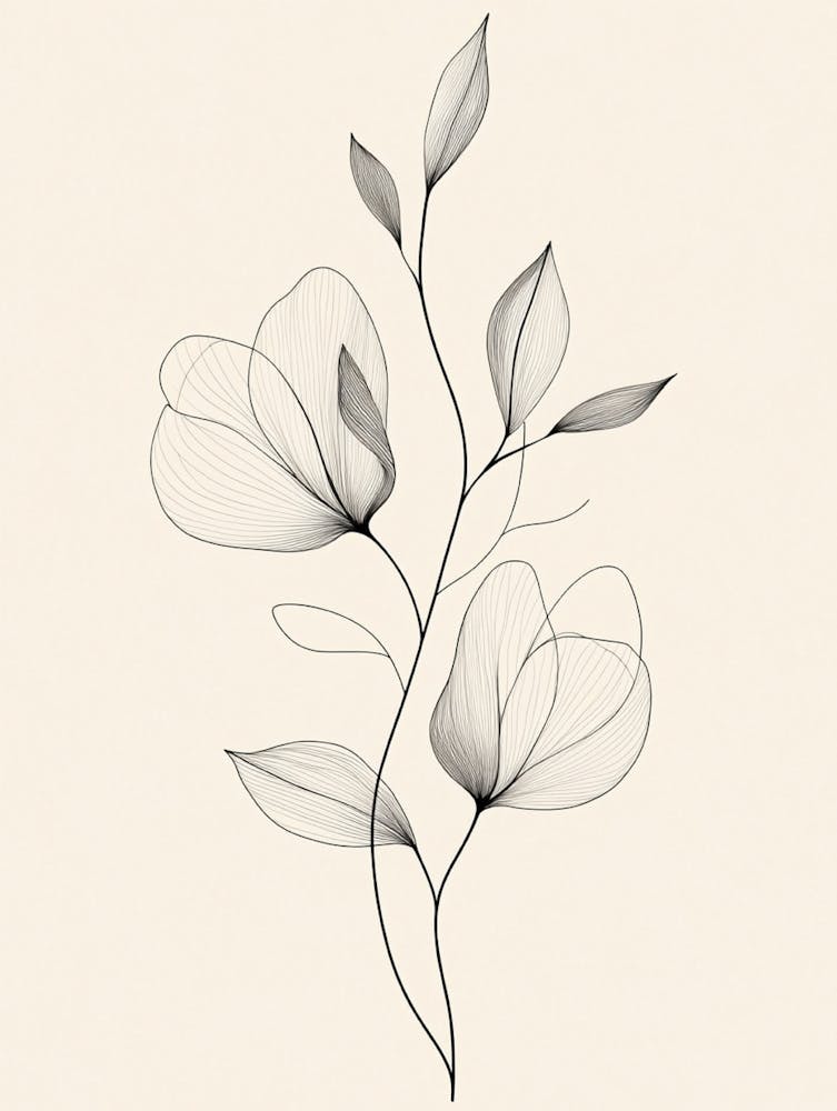 Black And White Flower Drawing
