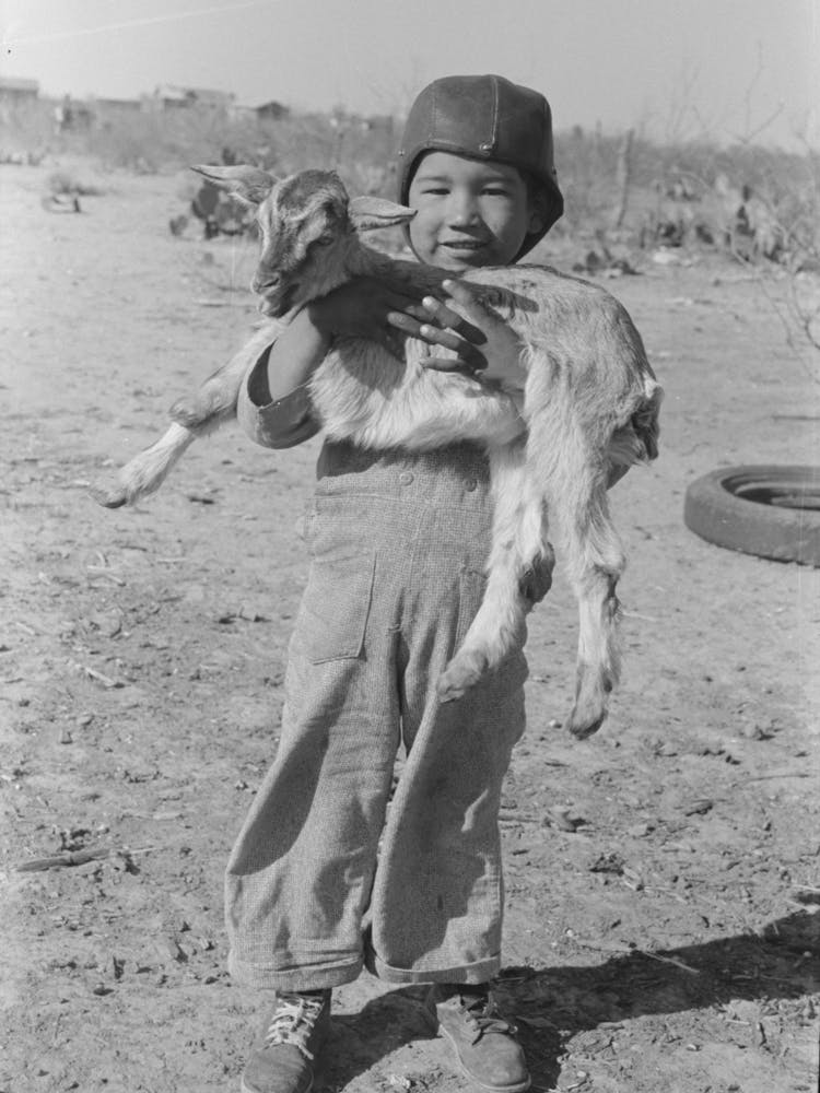 Mexican Boy With Goat, Crystal City, Texas By Russell Lee