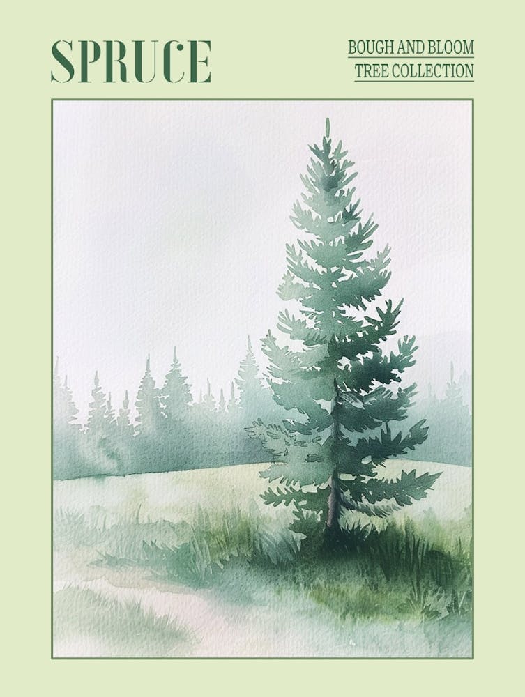 Spruce Tree Atmospheric Watercolour Painting 3 Poster