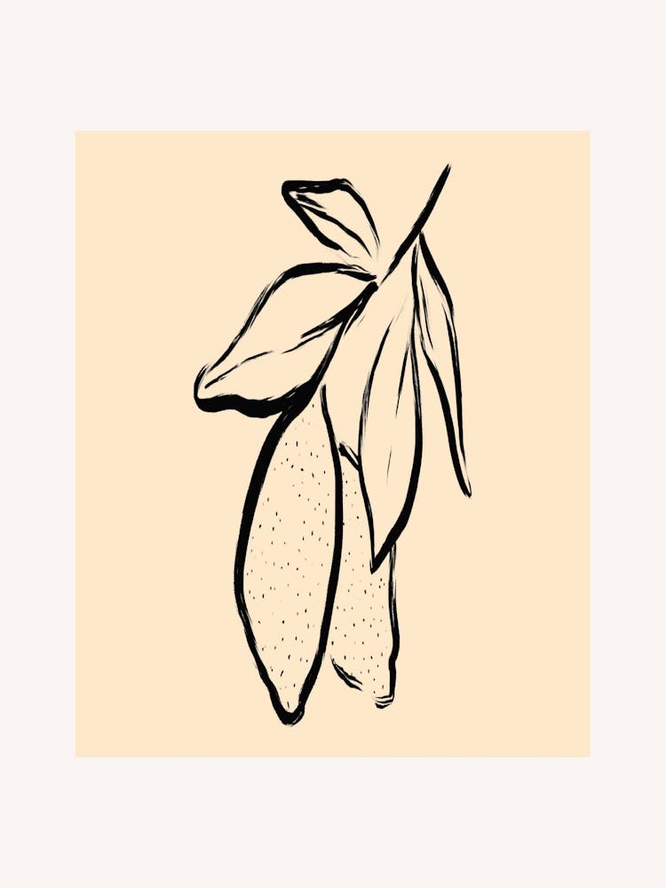 Hibiscus 2