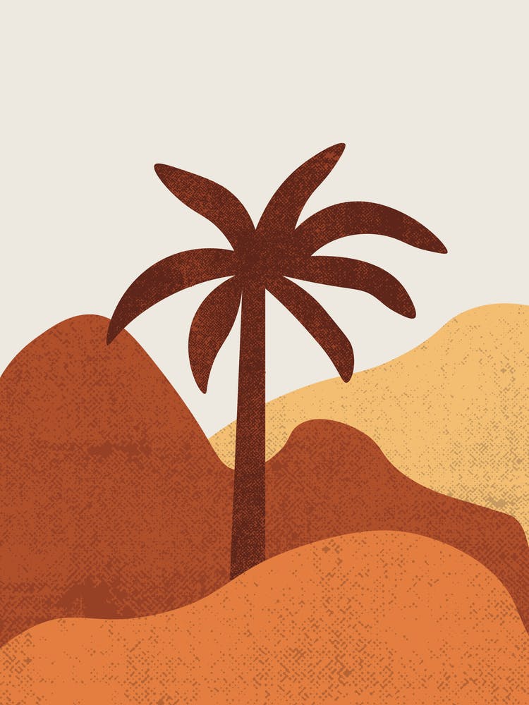 Palm Tree In The Desert
