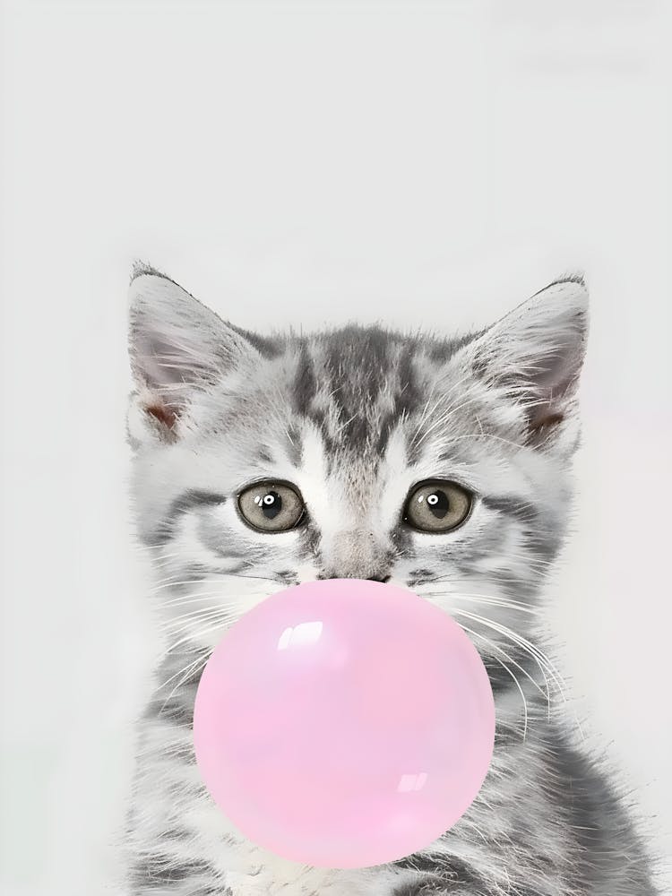 Pink Gumball Kitten