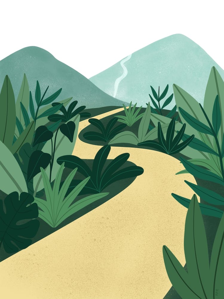 Tropical Jungle Path