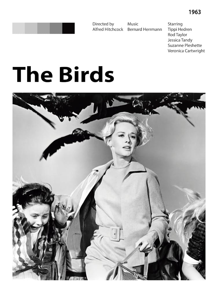The Birds