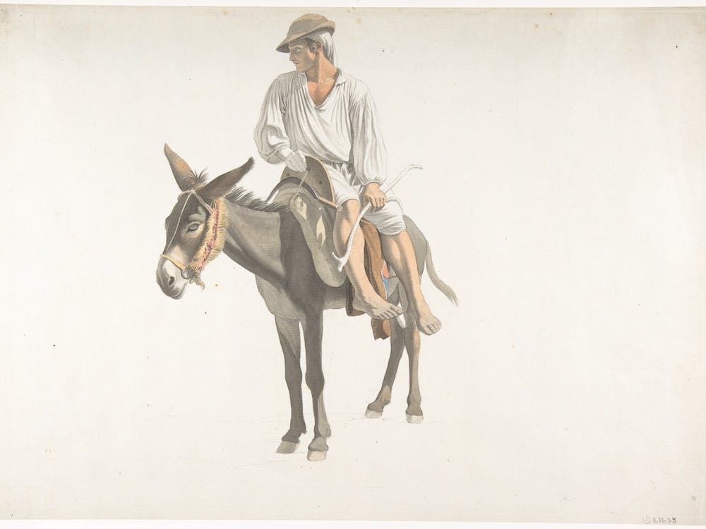 Peasant On Donkey