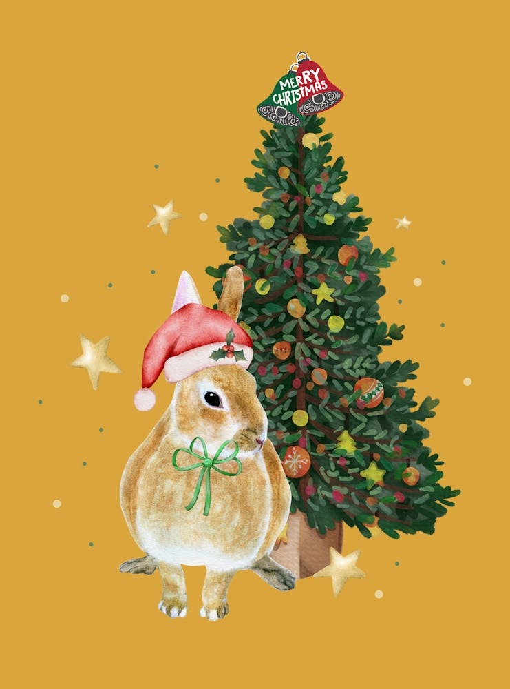 Merry Christmas Santa Bunny