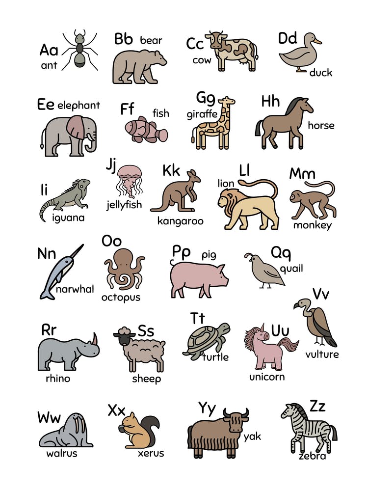 A-Z Animal Alphabet Learning Pastel Nursery