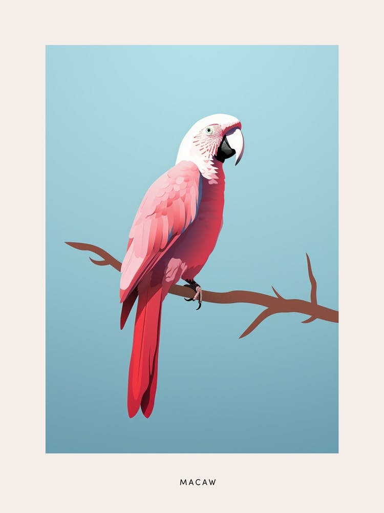 Minimalist Macaw 2 Bird Poster