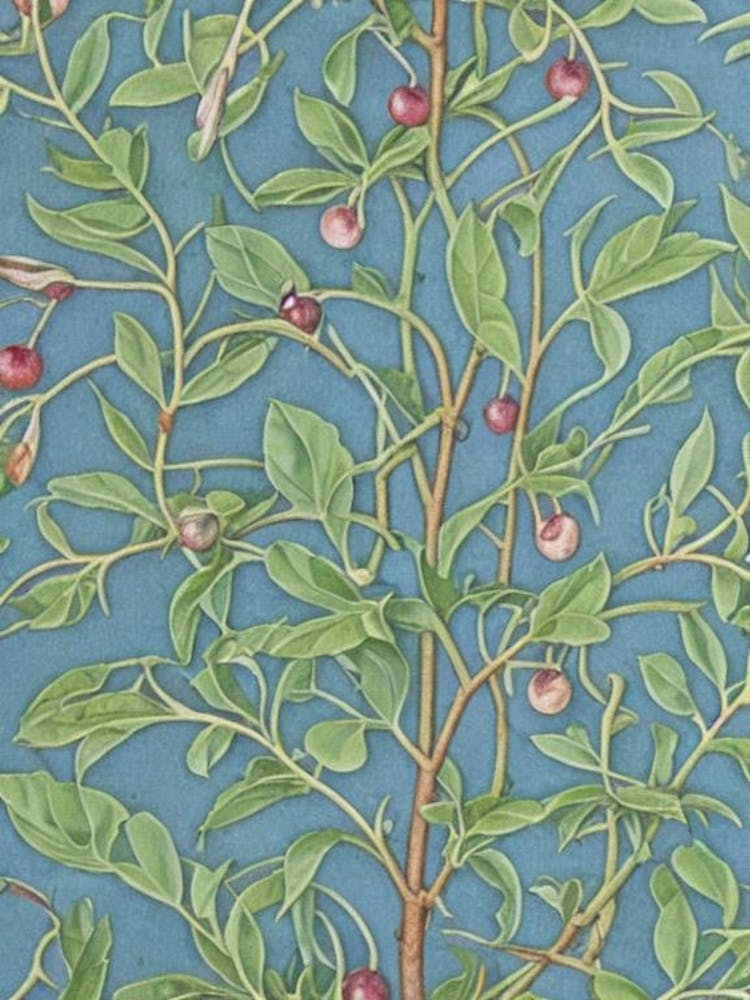 Damson Vintage Botanical Fruit