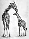 Gentle Drawing Art Prints