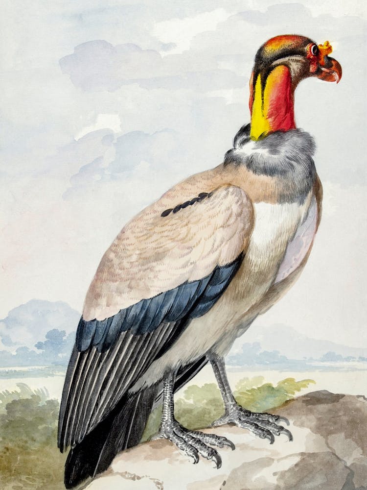 Vintage Bird_2835786