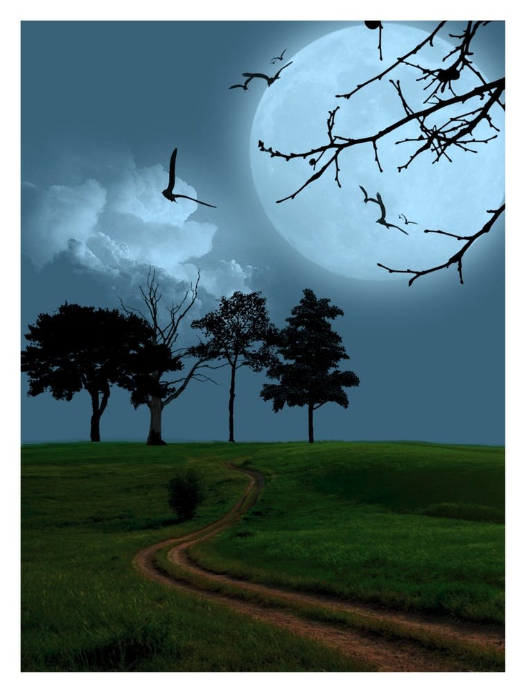 Full Moon In The Sky