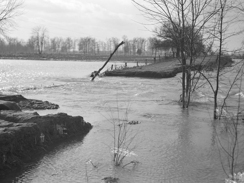 Überschwemmte Landstraße nahe Patoka, Indiana von Russell Lee