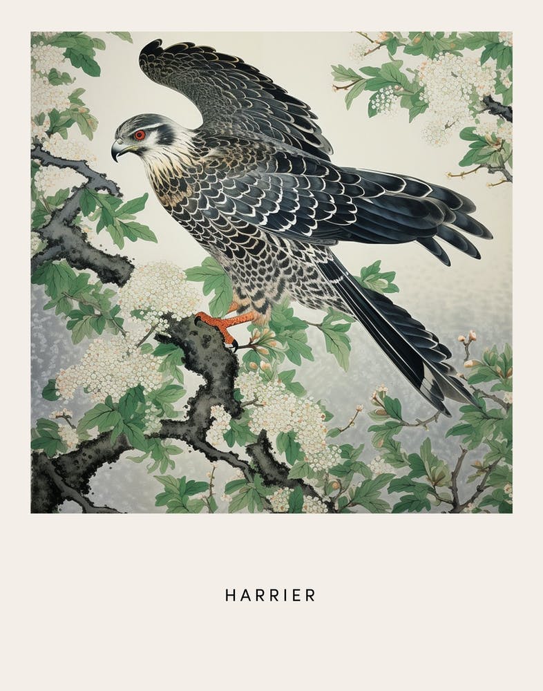 Ohara Koson Inspired Bird Painting Harrier 1 Poster