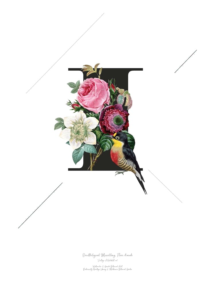 Botanical Alphabet I