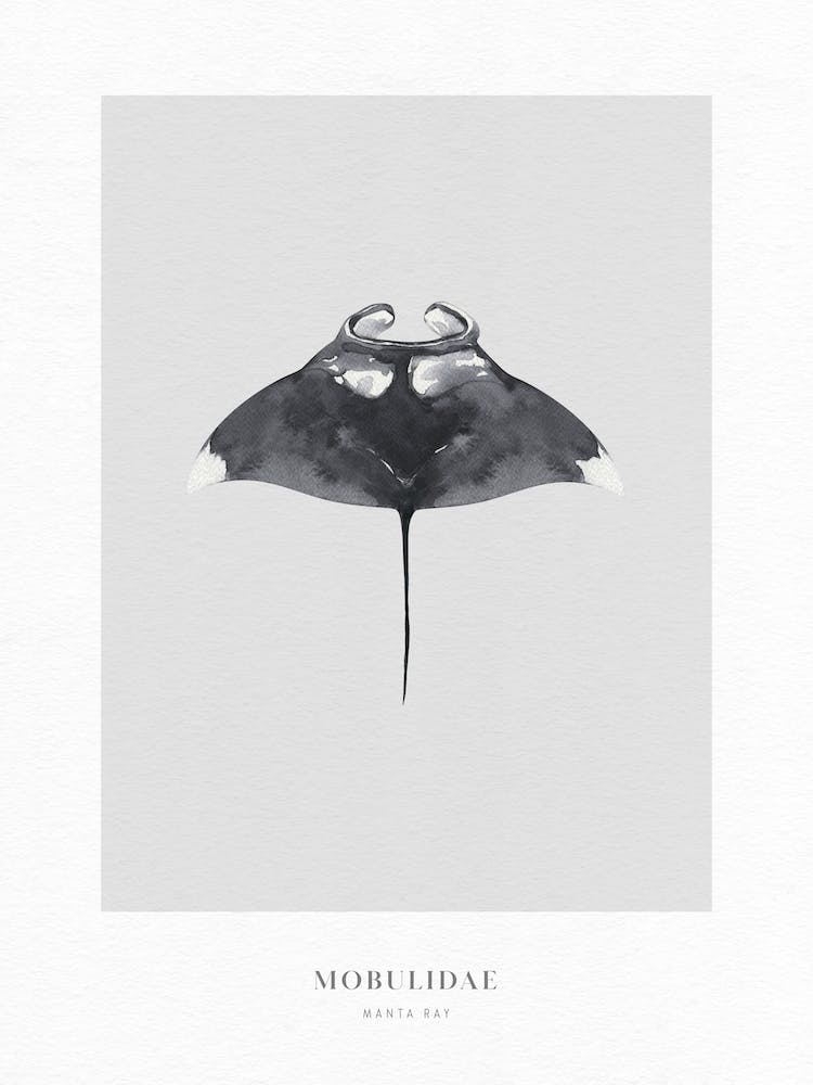 Boho Ocean 2 Manta Ray