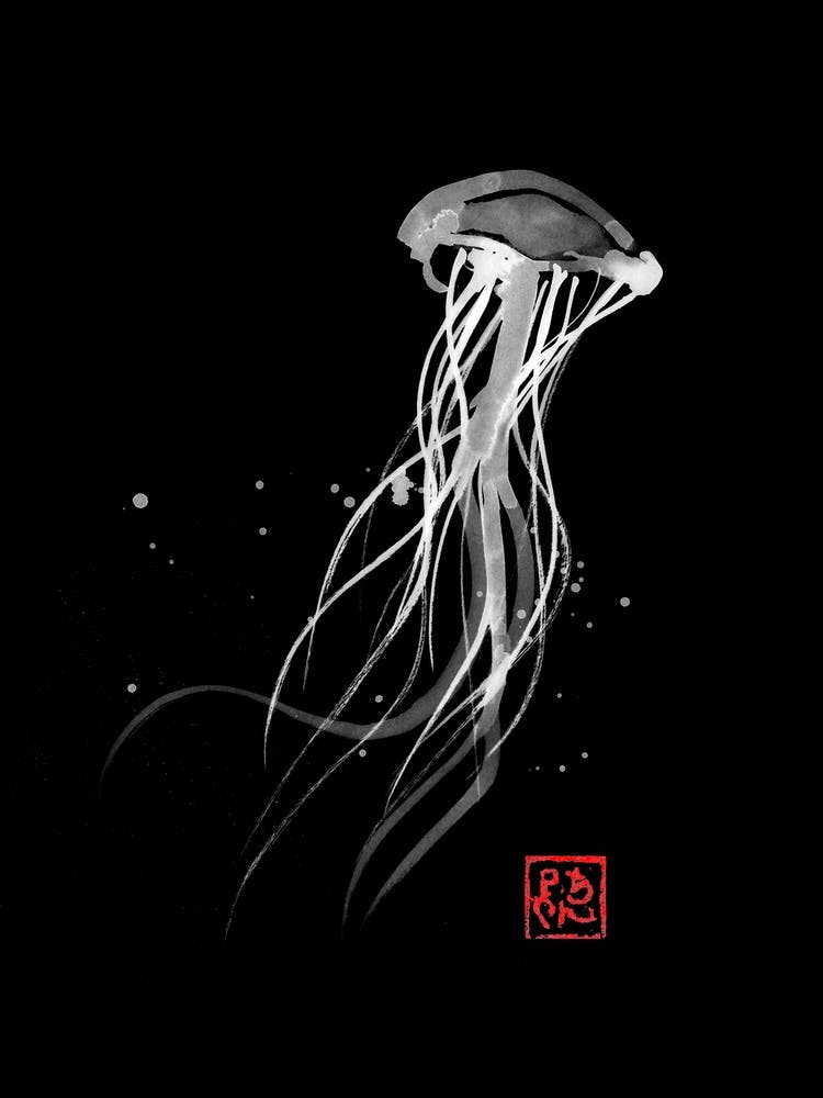 Meduse 1