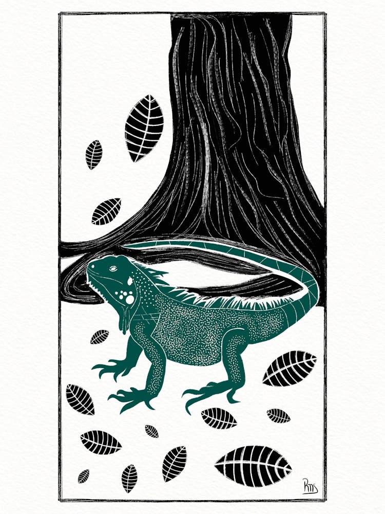 Iguana and Tree