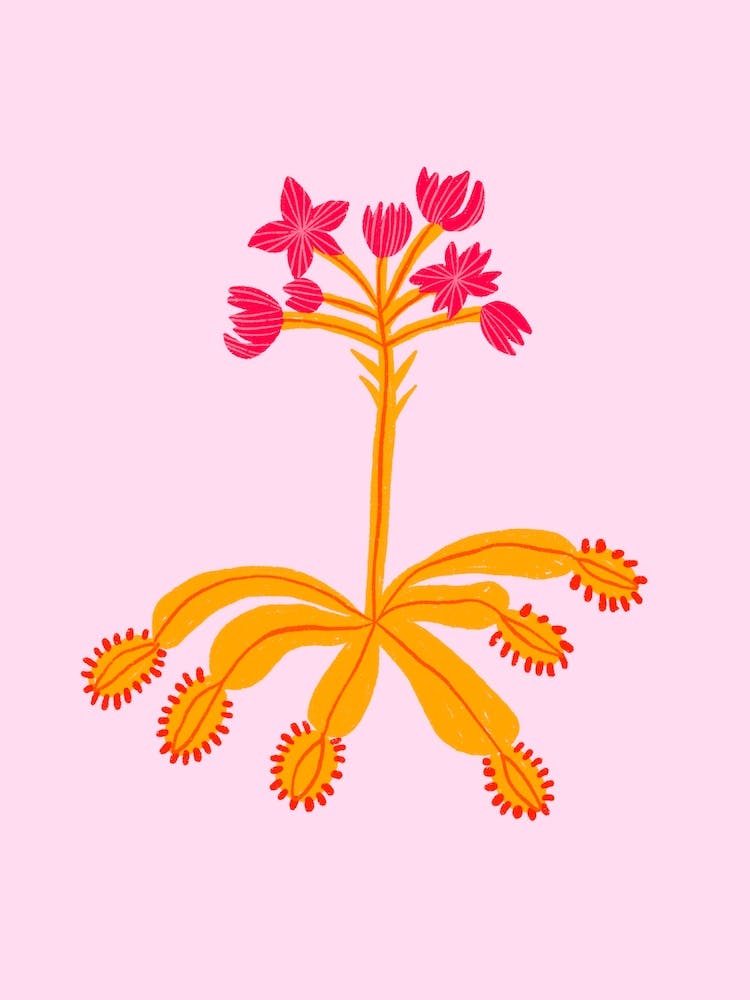 Wildblume