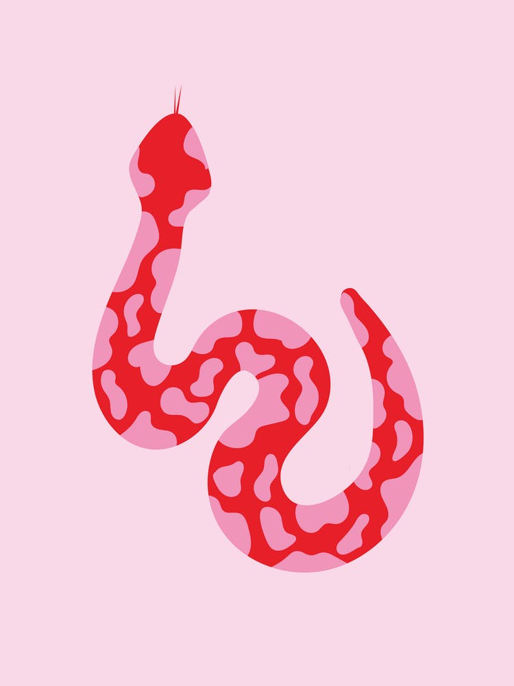 Pink Snake 1