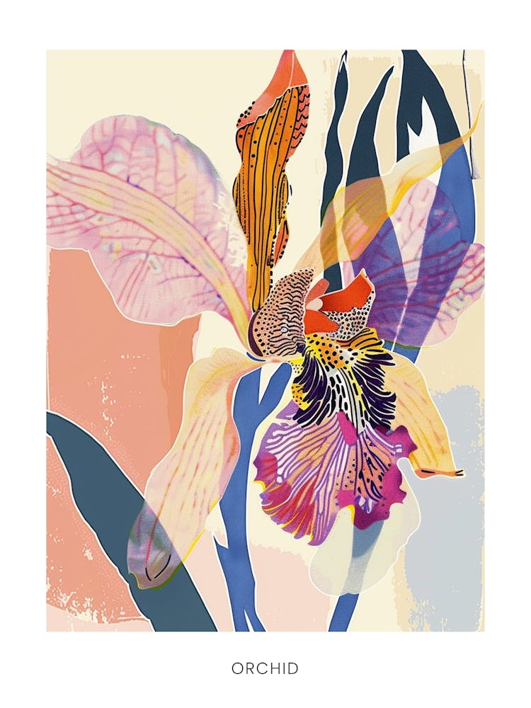 Colourful Flower Illustration Poster Orchid 4